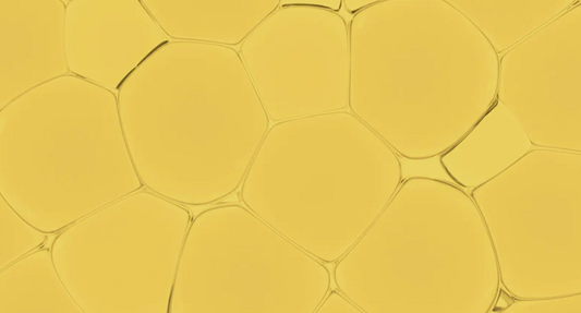 5 Powerful Star Ingredients in Our Botanical Oil Serum: The Secret to Hydrated, Glowing Skin